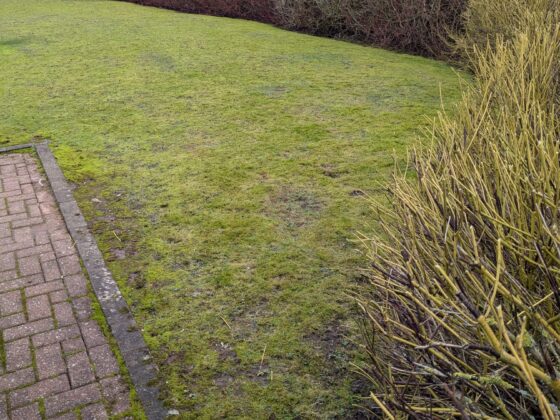 WhatsApp Image 2026-02-08 at 2.39.00 AM