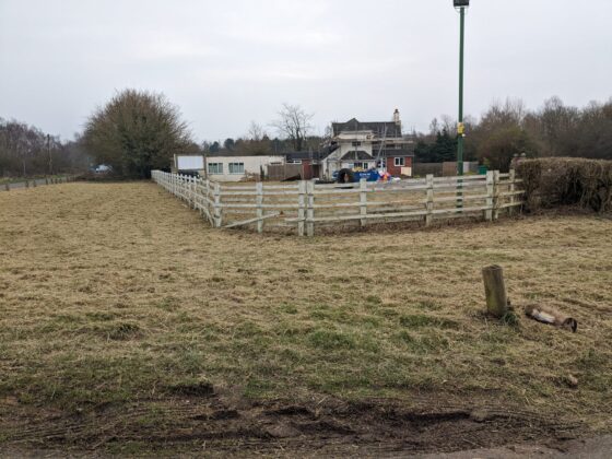 WhatsApp Image 2026-02-08 at 2.39.06 AM