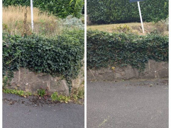 WhatsApp Image 2026-02-25 at 12.21.34 AM