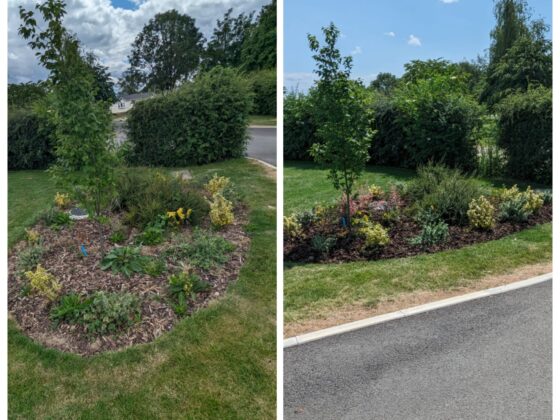 WhatsApp Image 2026-02-25 at 12.21.35 AM (1)