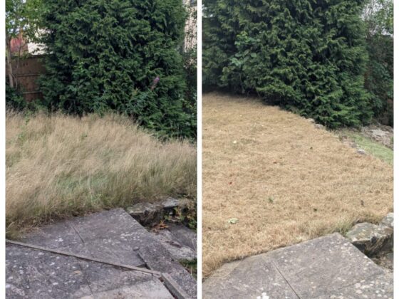 WhatsApp Image 2026-02-25 at 12.21.35 AM (2)