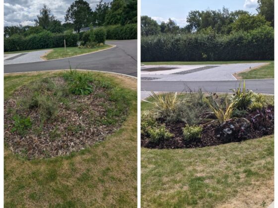 WhatsApp Image 2026-02-25 at 12.21.35 AM