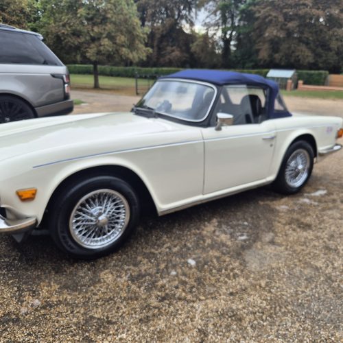 WhatsApp Image 2025-10-25 at 5.19.21 PM